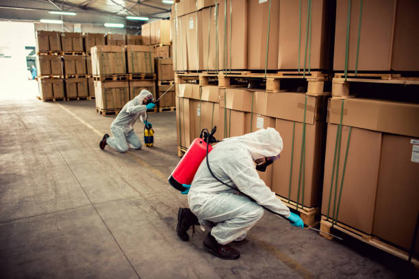 Pest Control for Restaurants in Townsend, DE