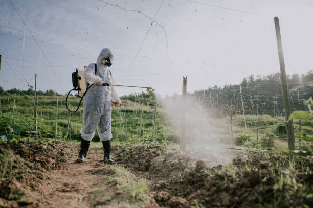Best Affordable Pest Control Services  in Townsend, DE