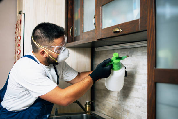 Pest Prevention Services in Townsend, DE