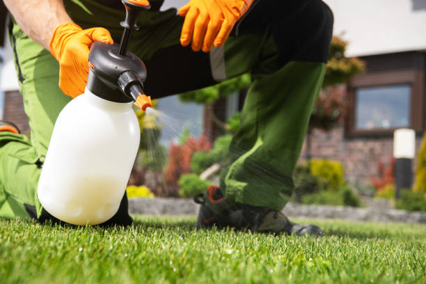 Best Local Pest Control Services  in Townsend, DE