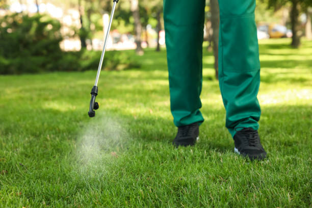 Best Cockroach Control Services  in Townsend, DE