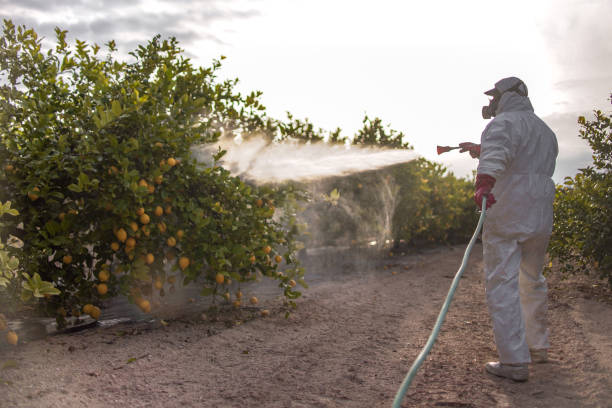 Best Pest Control for Restaurants  in Townsend, DE