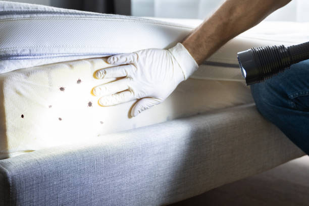 Best Wildlife Control Services  in Townsend, DE
