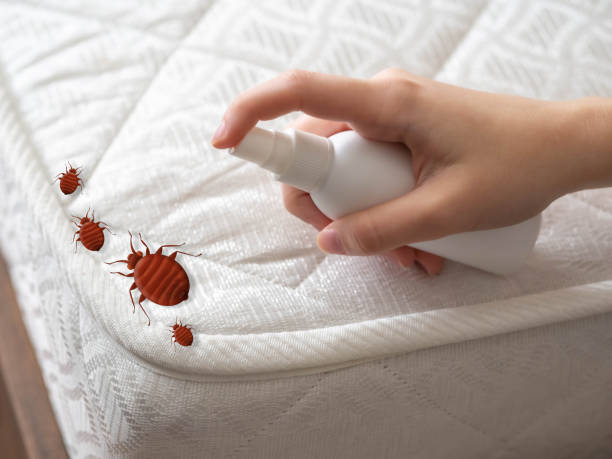 Best Residential Pest Control  in Townsend, DE