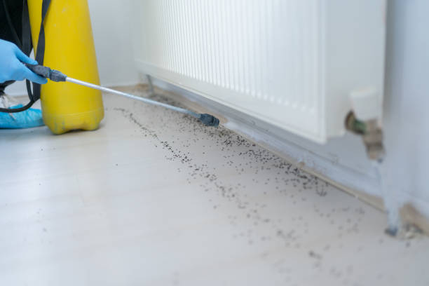 Best Best Pest Control Companies  in Townsend, DE